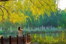 足球新浪比分直播-足球新浪比分直播，球迷的实时观赛指南与情感纽带